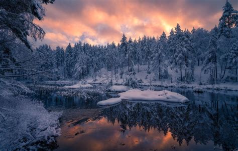 Norway Winter Forest Wallpapers - Wallpaper Cave