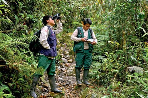 Ley 31991 Ley Del Cuerpo De Guardaparques Del Perú Lp