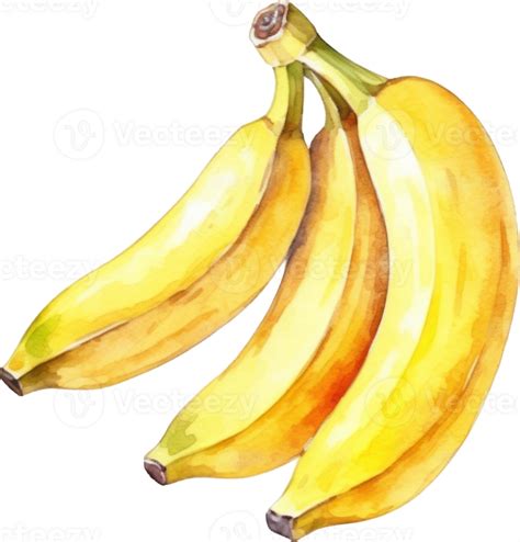 Banana Fruit Watercolor D 23742291 Png