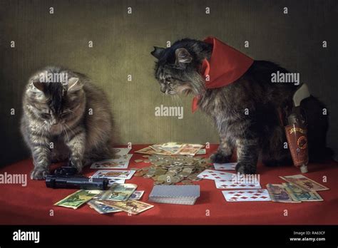 Cats Playing Cards