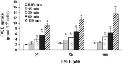 Fatty Acid Ethyl Ester Faee Uptake By Human Mononuclear Cells 3 Download Scientific