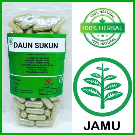 Jual Kapsul Daun Sukun Isi Kapsul Shopee Indonesia