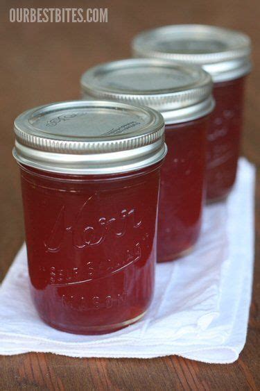 Introduction To Home Canning And Preserving Artofit