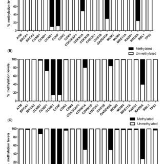 DNA methylation profile in promoter region of cell cycle genes after ...