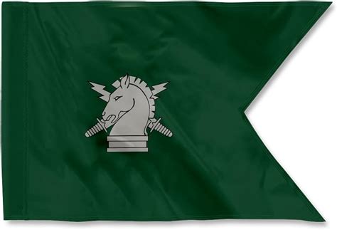 Custom Psychological Operations Guidon Flag Us Army Po Guidons