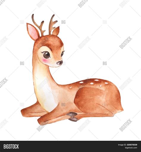 Cute Baby Deer Drawing