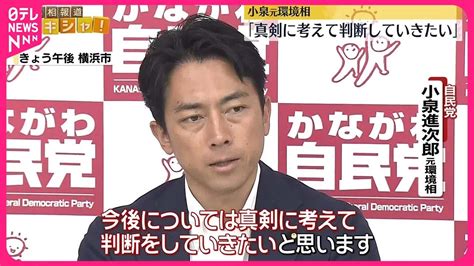 【自民党総裁選】小泉元環境相「真剣に考えて判断していきたい」 Moe Zine