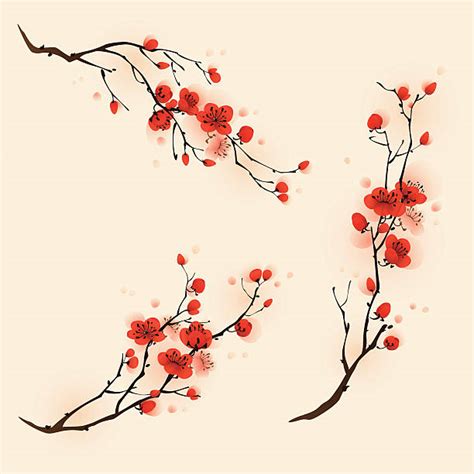 Best Plum Blossom Illustrations Royalty Free Vector Graphics And Clip