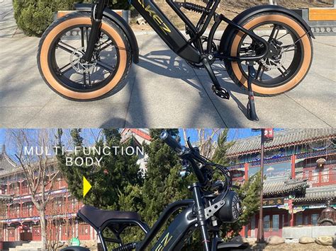 Falcon 750w Retro Electric City Bike With 20 Inch Off Road Fat Tires