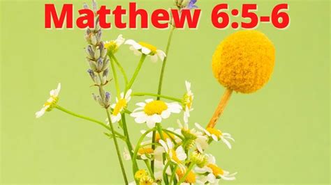 Bible Verse Of The Day Matthew 6 5 6 Verse Of The Day Matthew 6 5