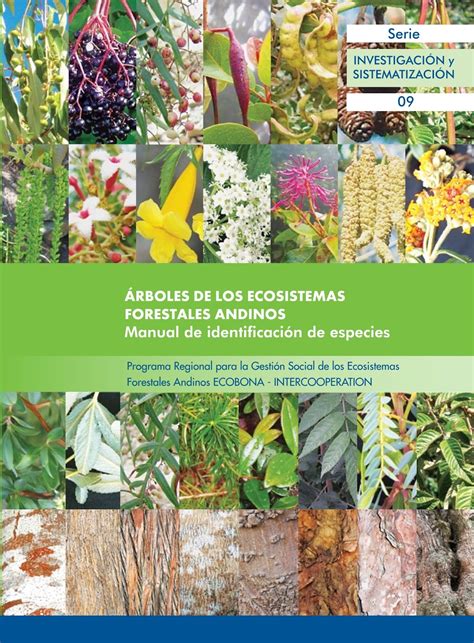 INGENIERIA FORESTAL Documento Árboles de los ecosistemas forestales