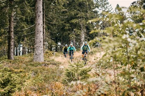 Mountainbiken Mtb Touren Tipps Im Bayerischen Wald