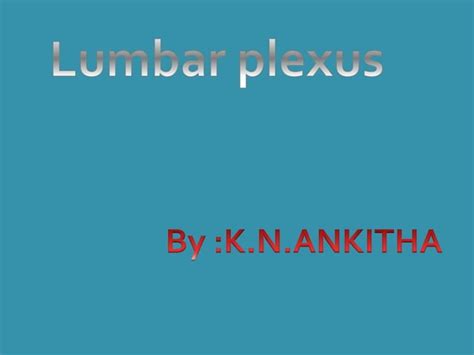 Lumbar Plexus Ppt