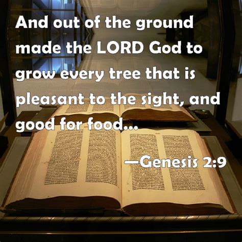 Genesis 29 And Out Of The Ground Made The Lord God To Grow Every Tree