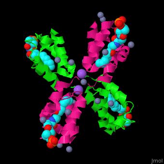 acyl carrier protein proteopedia life