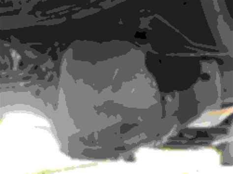 Rear differential leak - Ford F150 Forum - Community of Ford Truck Fans