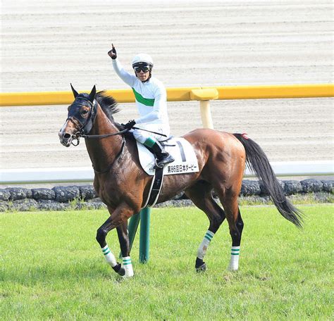 浜中がロジャーバローズで悲願のダービー初制覇！「頭真っ白。一生懸命走り尽くしてくれた」― スポニチ Sponichi Annex ギャンブル