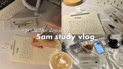 5am Study Vlog🥯☁️ Studying Surviving On Coffee Café Hoping And More