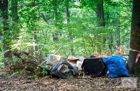 Illegale M Llkippen Im Wald Problem Der Exotischen Pflanzen