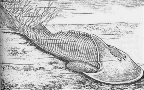 History of the Earth: March 15. Ostracoderms