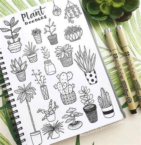 Stunning Plant Doodles To Inspire Your Creativity