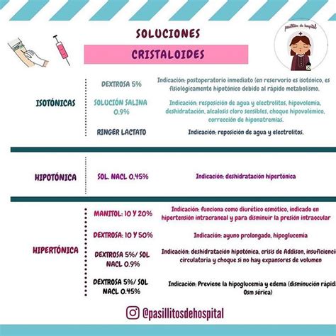 A Professional Resume For A Woman In Spanish