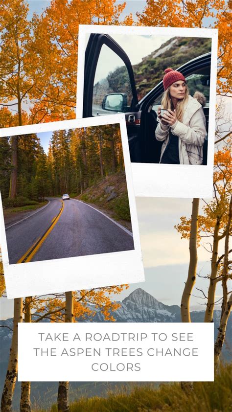 How to Plan a Fall Foliage Road Trip in Colorado | Road trip to ...