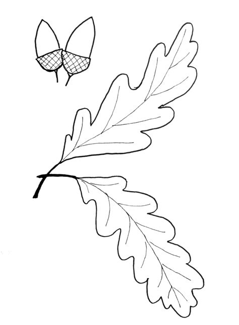 Oak Leaf Template Printable - Coloring Home