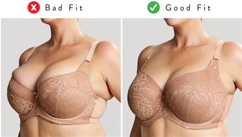 Bra Sizing Understanding The Complexity Illusions Lingerie