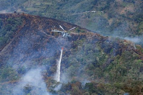 Incendios Forestales Bolivia Declara Desastre Nacional Mientras Otros