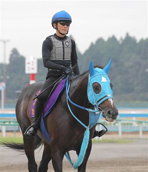 【中山大障害】オジュウチョウサン 石神深一騎手「絶対王者の姿を見てほしい」 Umatoku 馬トク