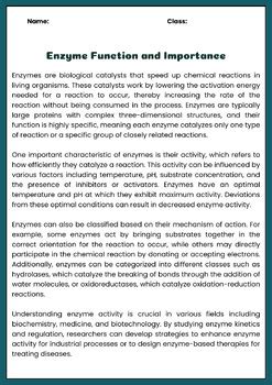 Enzyme Function And Activity Reading Passage With Comprehension Questions