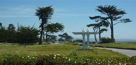 Lighthouse Field In Santa Cruz CA