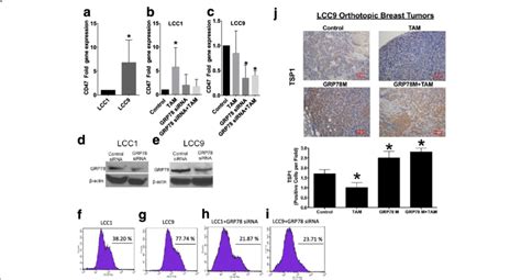 Cd47 Gene Expression Is Associated With Increased Resistance To