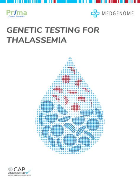 Medgenome Brochure Thalassemia Mutation Testing New Pdf Biochemistry Chemistry