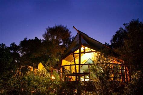 The Best Treehouse Stays In South Africa Drive South Africa