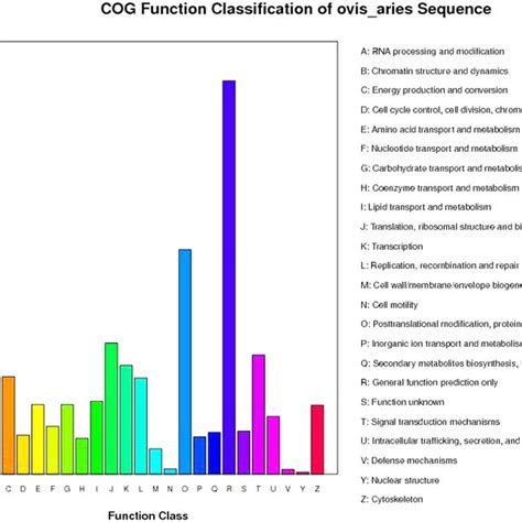 Functional Classification Of All Identified Proteins All Identified