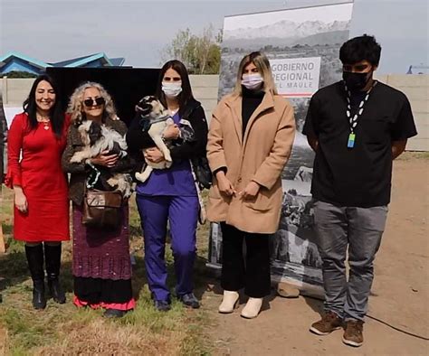 Talca contará con un moderno centro veterinario municipal para atención