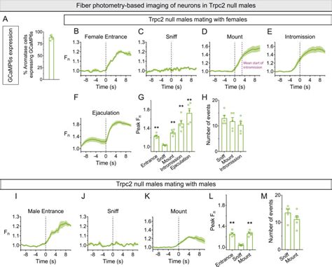 Limbic Neurons Shape Sex Recognition And Social Behavior In Sexually