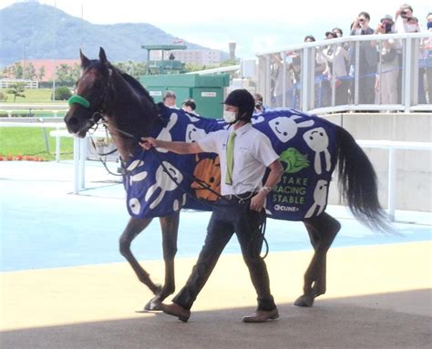 【pog】アパパネの子アスパルディーコは27日新潟マイルで初陣（美浦発）競馬・レースデイリースポーツ Online