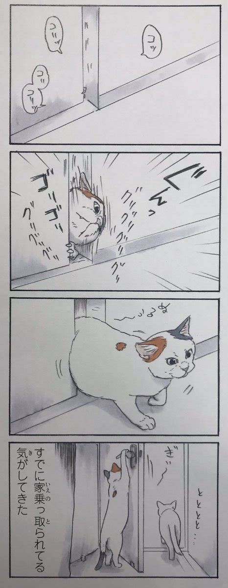 拾い猫のモチャ4』収録 」にごたろの漫画