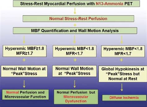 Algorithm For The Integration Of N Ammonia Pet Ct Perfusion Images