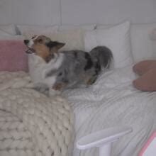 Selti Nude OnlyFans Leaks 2024 Page 2 Fapopedia