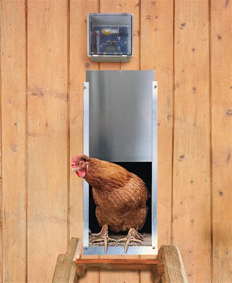 Best Automatic Chicken Coop Door Chicken Farmers Union