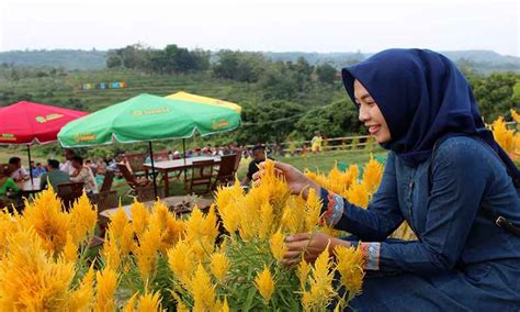 Tempat Wisata Di Blora Untuk Anak Dan Keluarga Yang Murah Dan Lagi