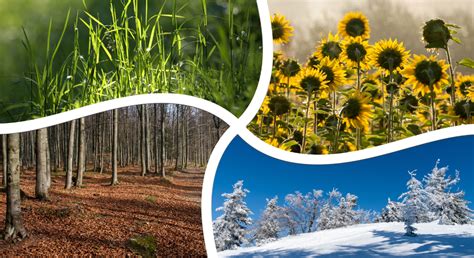 Guide To The Seasons What To Expect Weather Wise In East Tennessee