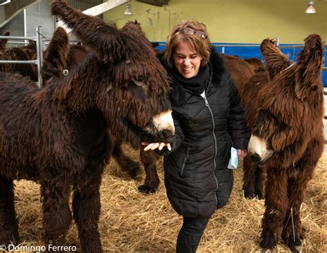 Xxiii Feria Del Burro Zamorano Leon S Y I Feria Agroalimentaria San