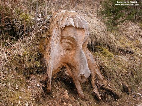 Sculture In Legno Sui Monti Blog Di Marco Rizzini