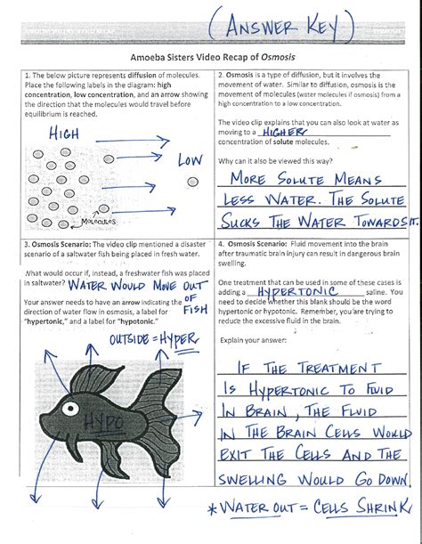 Amoeba Sisters Pedigree Worksheet Answer Key Amoeba Sisters Video Recap Biomolecules Worksheet