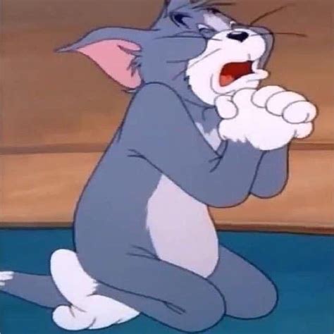 Ảnh Avatar đôi Tom Và Jerry Hài Hước Ảnh Internet Vintage Cartoon Tom Và Jerry Hình Vui